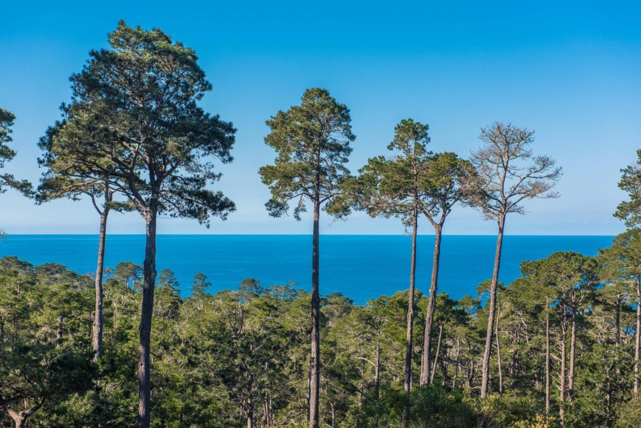 3707 Pacific'S Edge Sanctuary Home Carmel-by-the-Sea Exterior photo